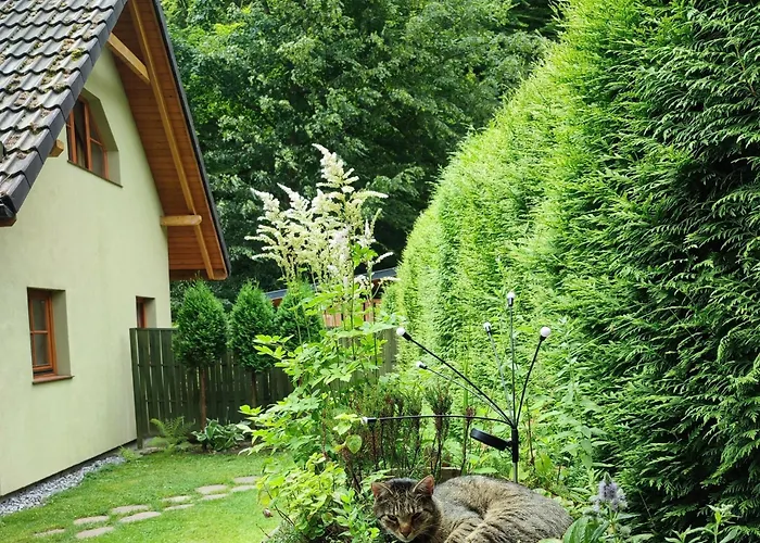 Na Zrodlanej Międzybrodzie Bialskie